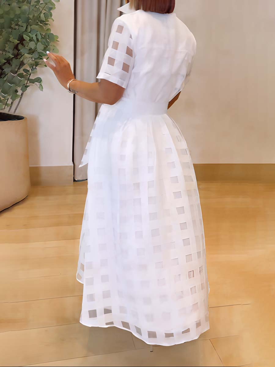 See-through Short Sleeve Belted Dress