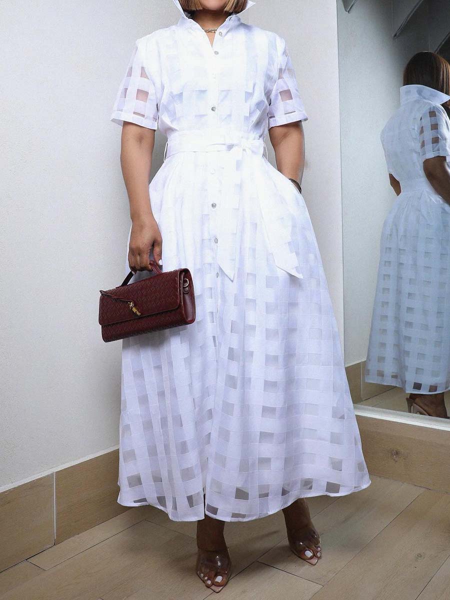 See-through Short Sleeve Belted Dress