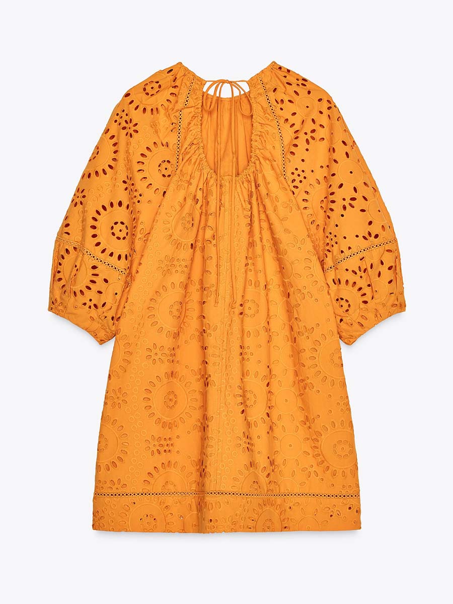 Lace Embroidered Mini Dress