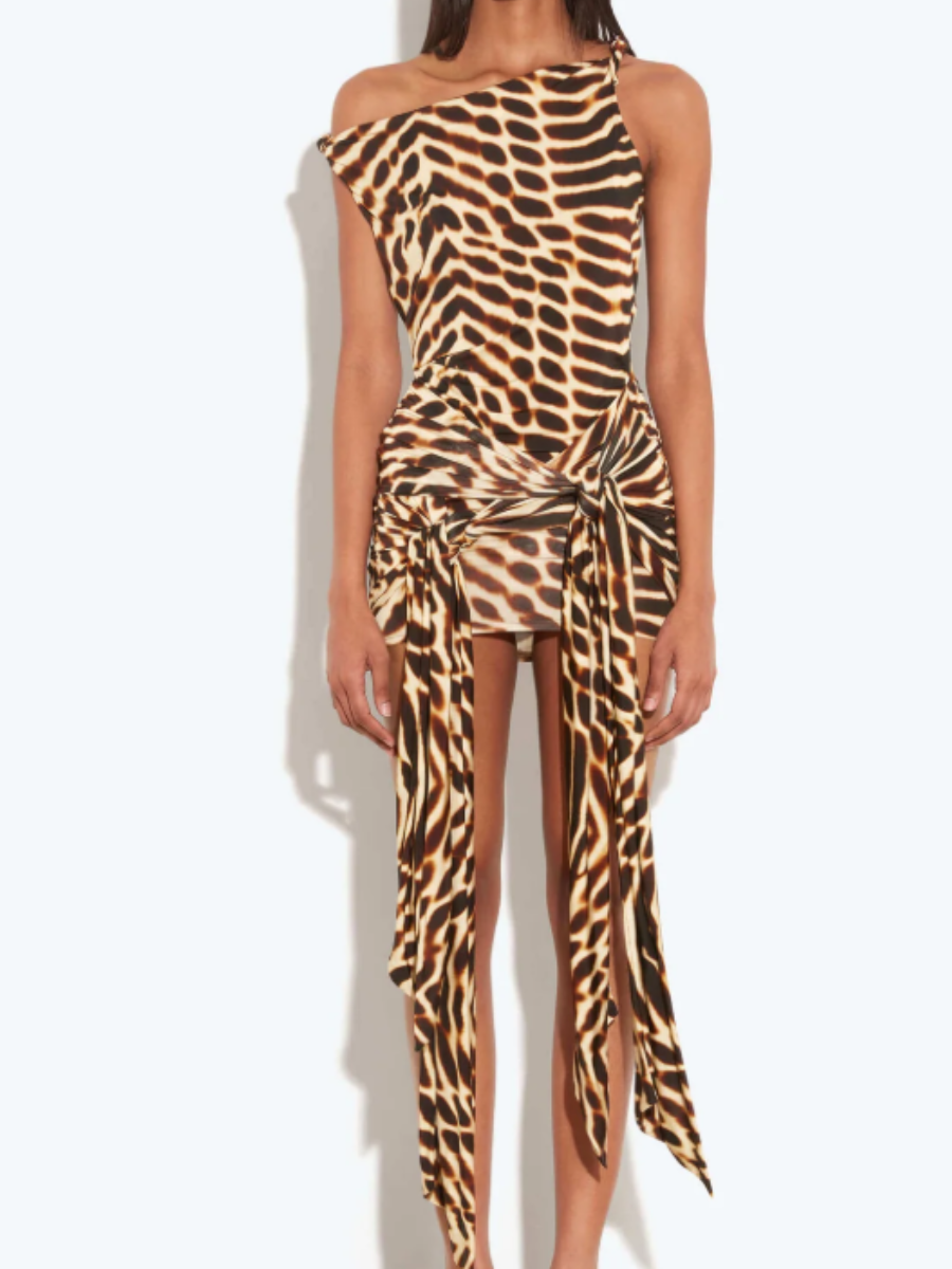 Leopard-Print Mini Dress